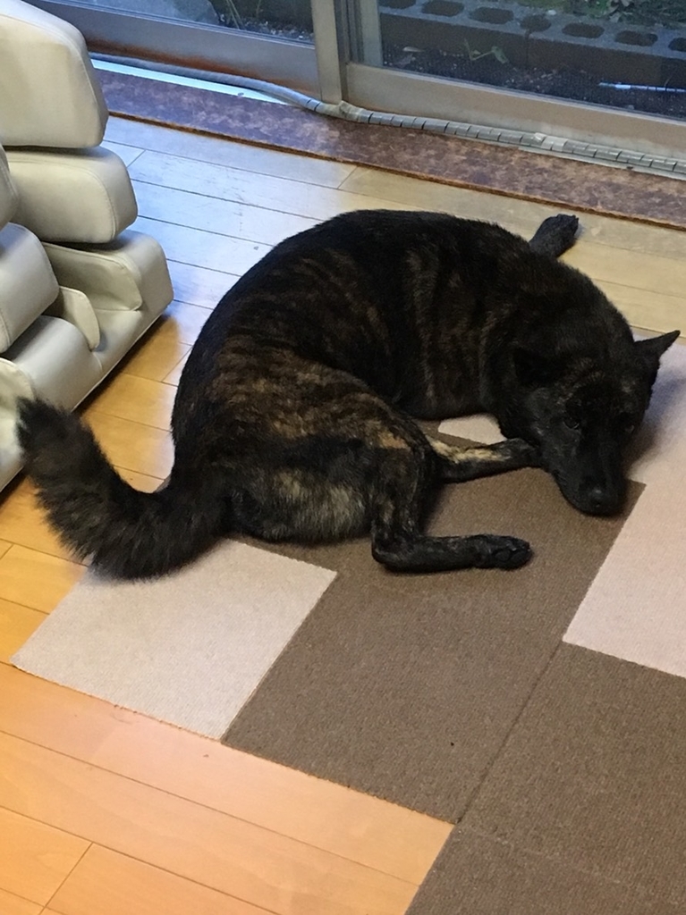f:id:drunkard_kim:20181110081036j:plain