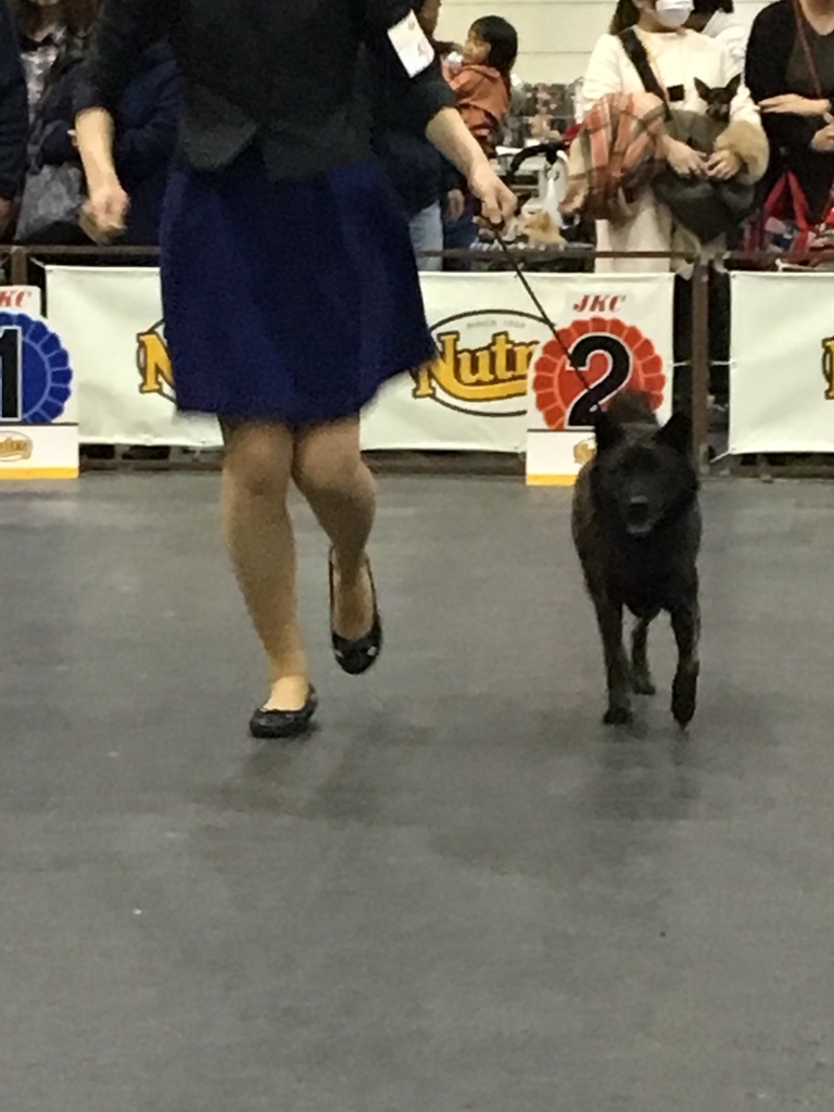 f:id:drunkard_kim:20181203065057j:plain