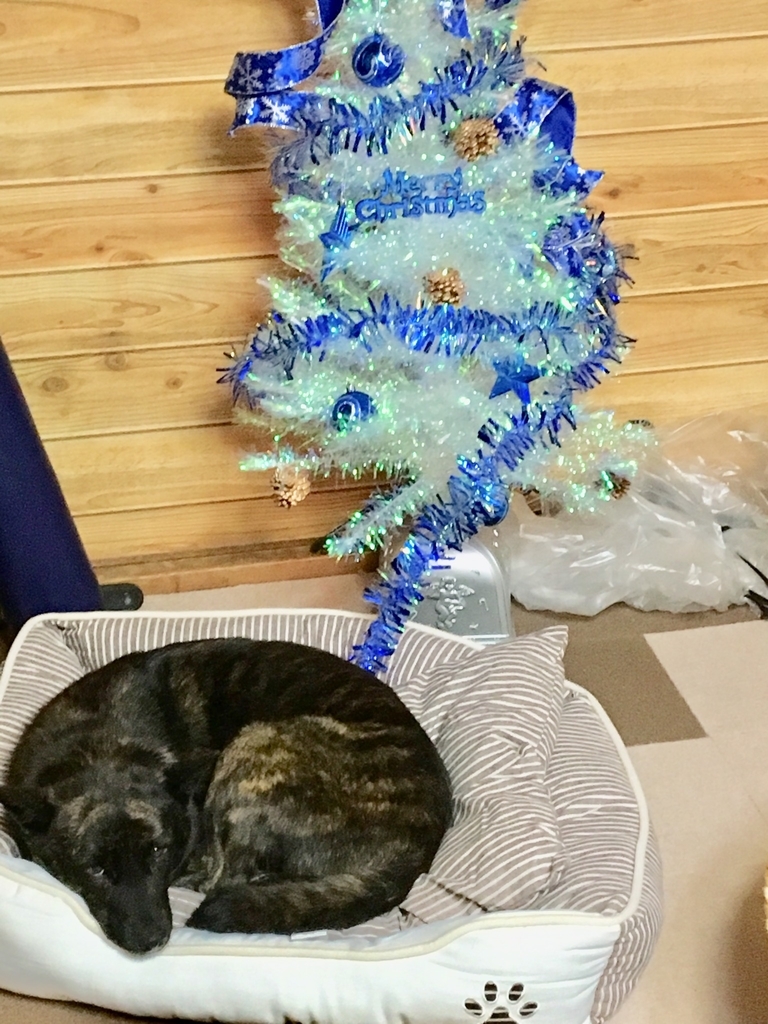 f:id:drunkard_kim:20181210081351j:plain f:id:drunkard_kim:20181210081351j:plain