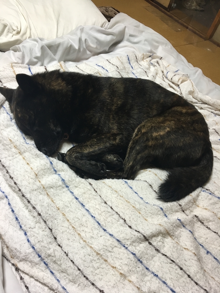 f:id:drunkard_kim:20181211083813j:plain