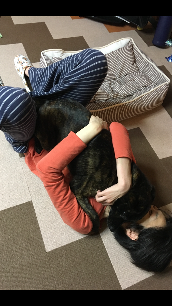 f:id:drunkard_kim:20181215075138p:plain