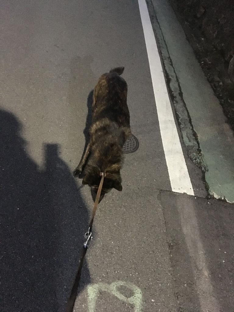 f:id:drunkard_kim:20181224075825j:plain