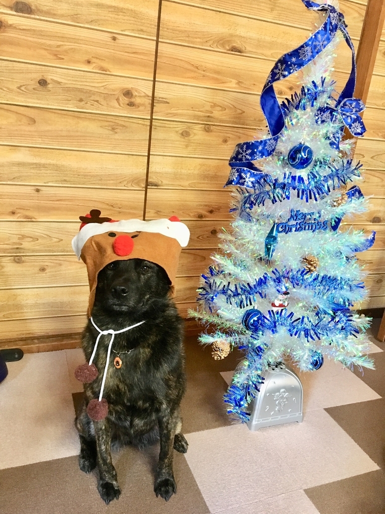 f:id:drunkard_kim:20181225184109j:plain