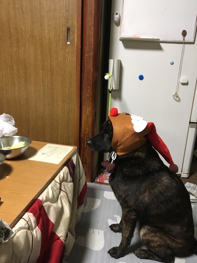 f:id:drunkard_kim:20181226080441j:plain