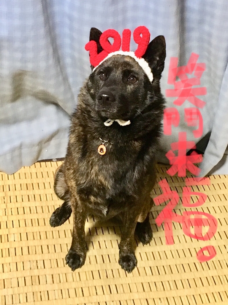 f:id:drunkard_kim:20190101064120j:plain
