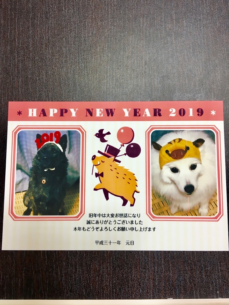 f:id:drunkard_kim:20190104085053j:plain