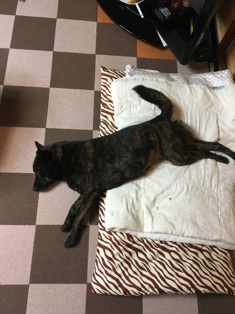 f:id:drunkard_kim:20190105082302j:plain