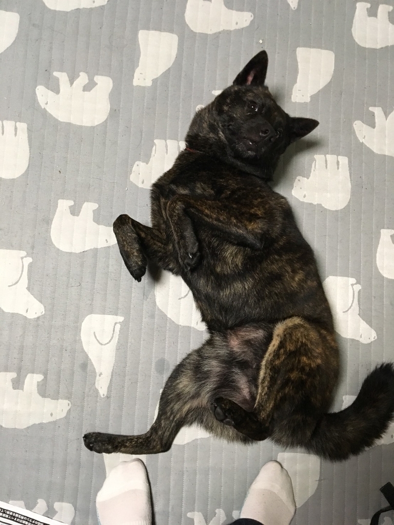 f:id:drunkard_kim:20190109112921j:plain