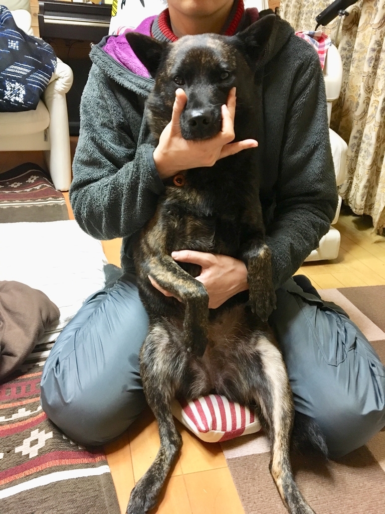 f:id:drunkard_kim:20190112213841j:plain