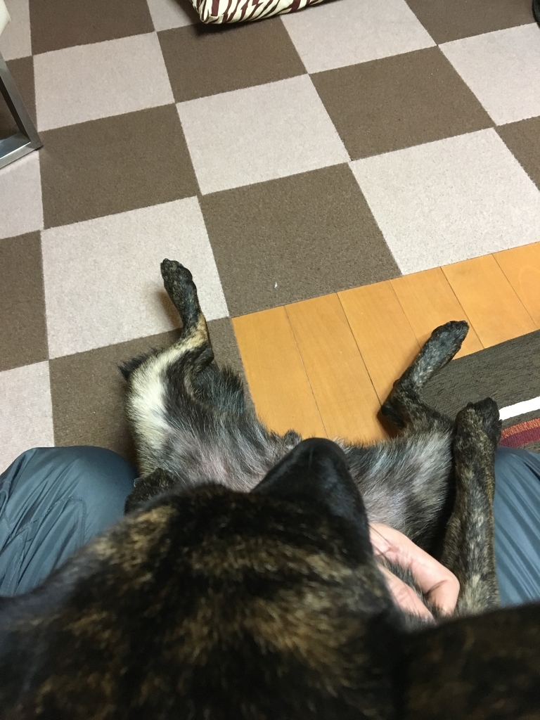 f:id:drunkard_kim:20190112214941j:plain