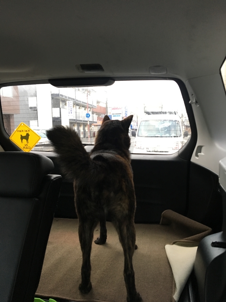f:id:drunkard_kim:20190115103716j:plain
