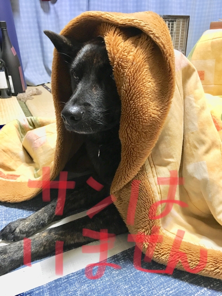 f:id:drunkard_kim:20190116075823j:plain