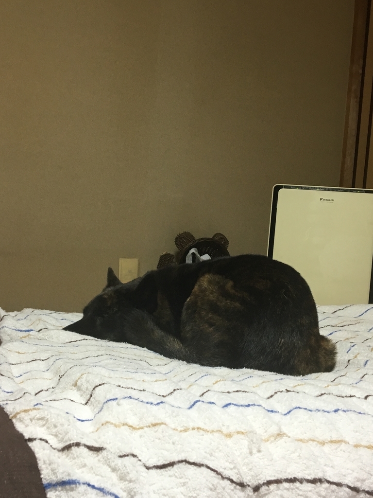 f:id:drunkard_kim:20190118080647j:plain