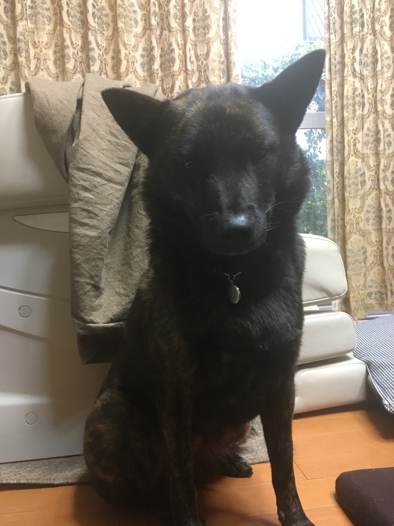f:id:drunkard_kim:20190120225421j:plain