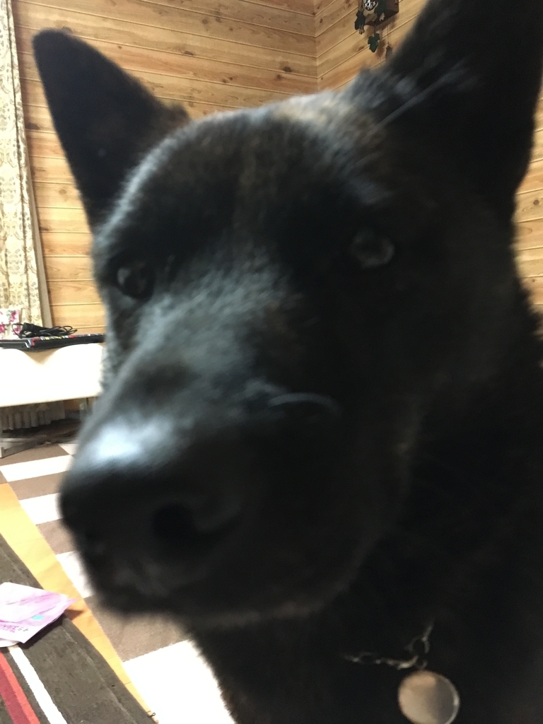 f:id:drunkard_kim:20190121080218j:plain