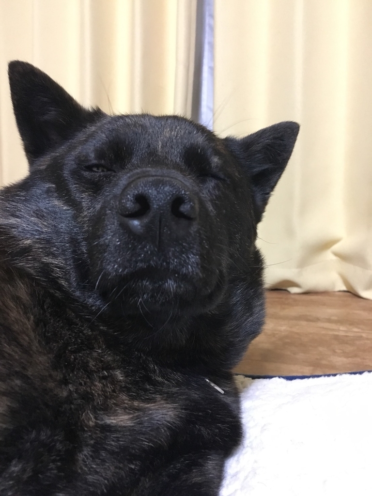 f:id:drunkard_kim:20190123075402j:plain
