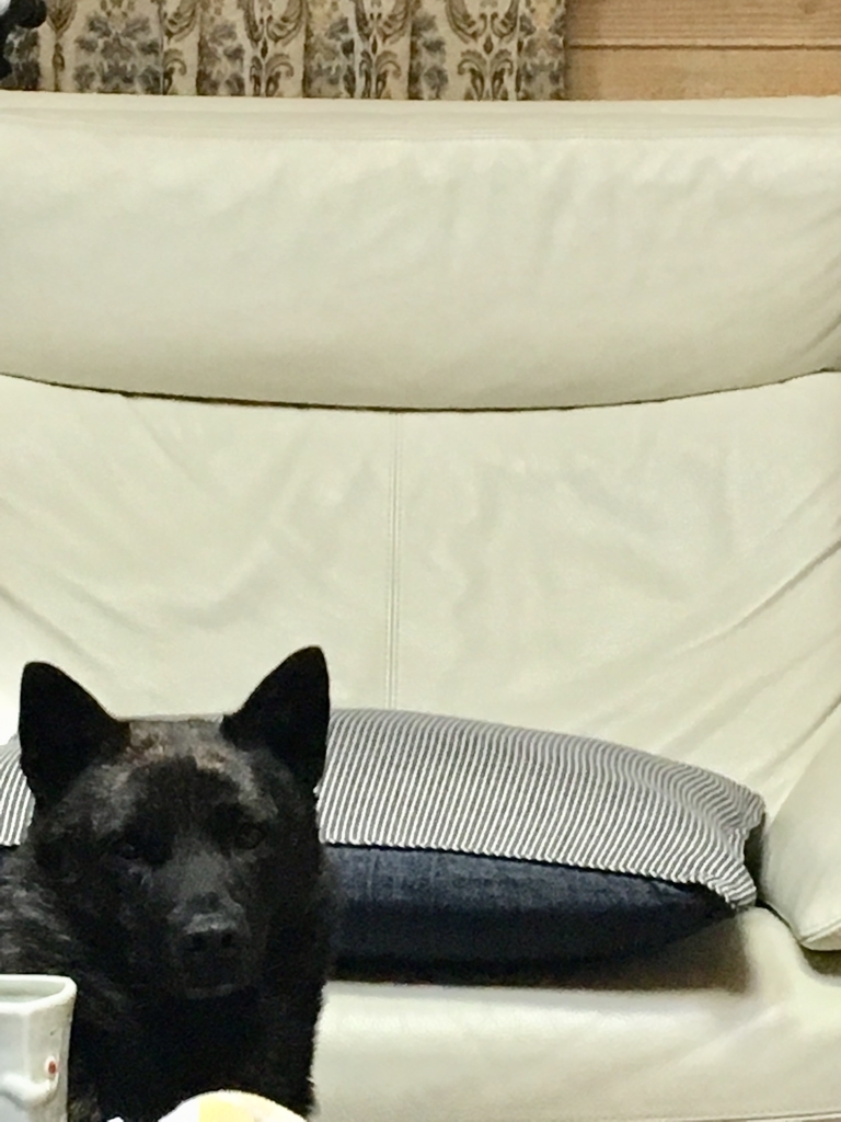 f:id:drunkard_kim:20190124105841j:plain