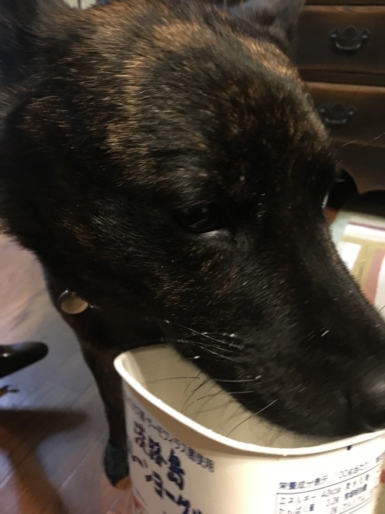 f:id:drunkard_kim:20190126172909j:plain