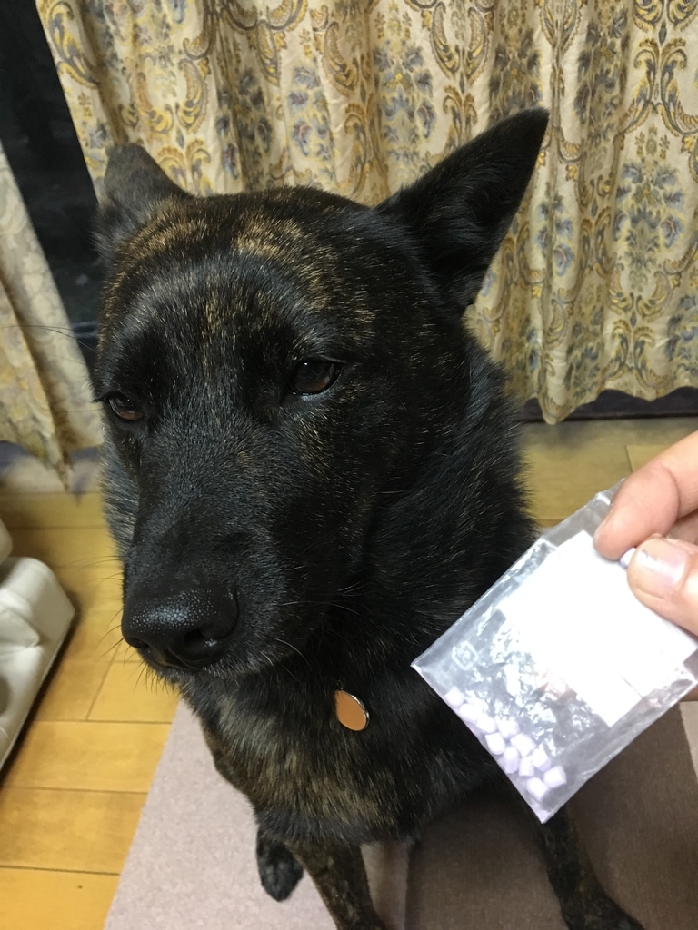 f:id:drunkard_kim:20190131080343j:plain