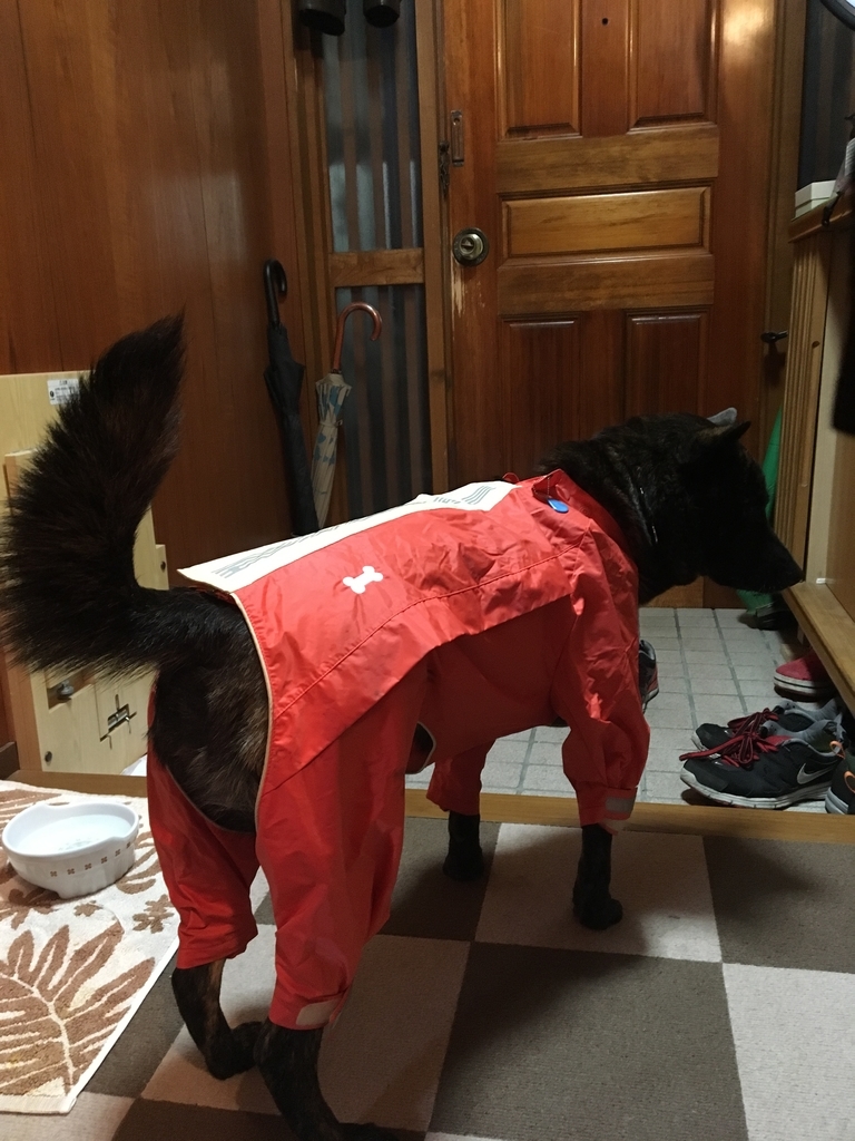 f:id:drunkard_kim:20190206075813j:plain