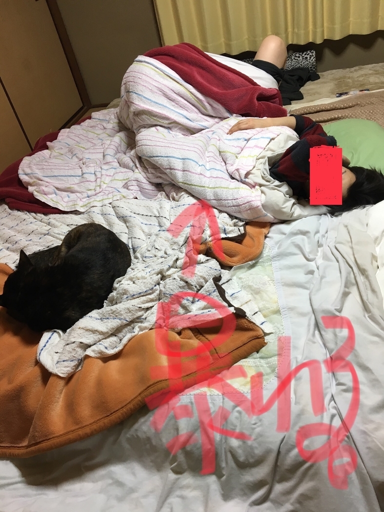 f:id:drunkard_kim:20190207080454j:plain