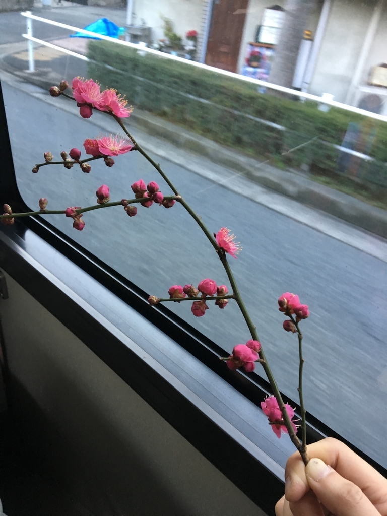 f:id:drunkard_kim:20190207080715j:plain