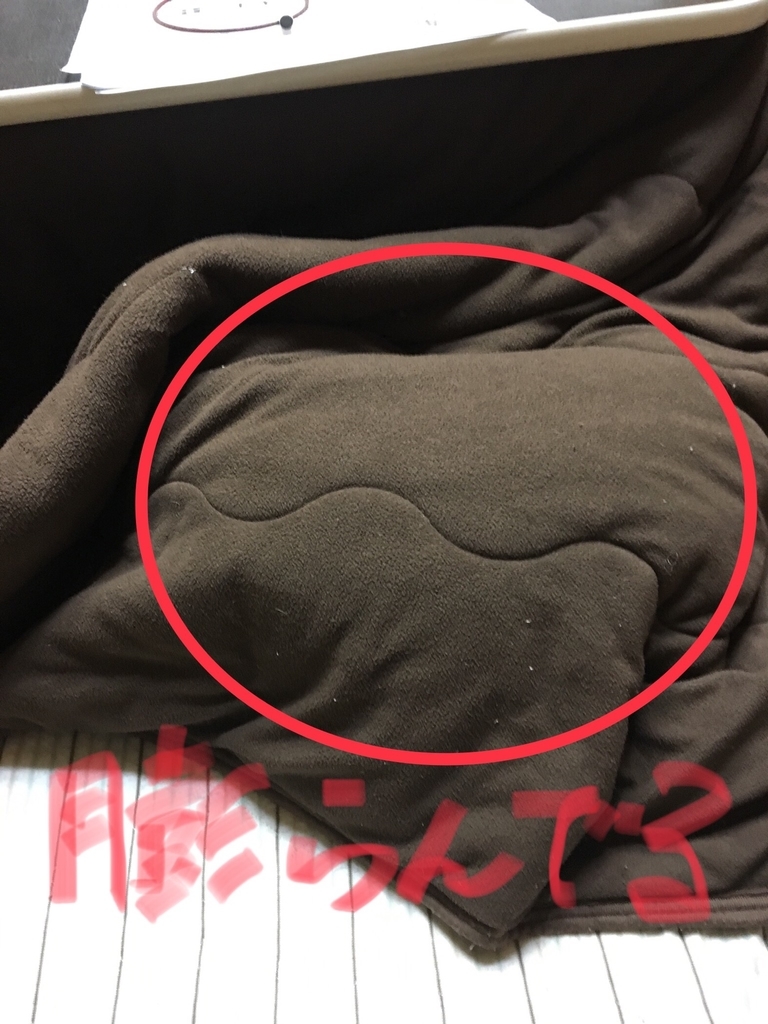 f:id:drunkard_kim:20190209080103j:plain f:id:drunkard_kim:20190209080103j:plain