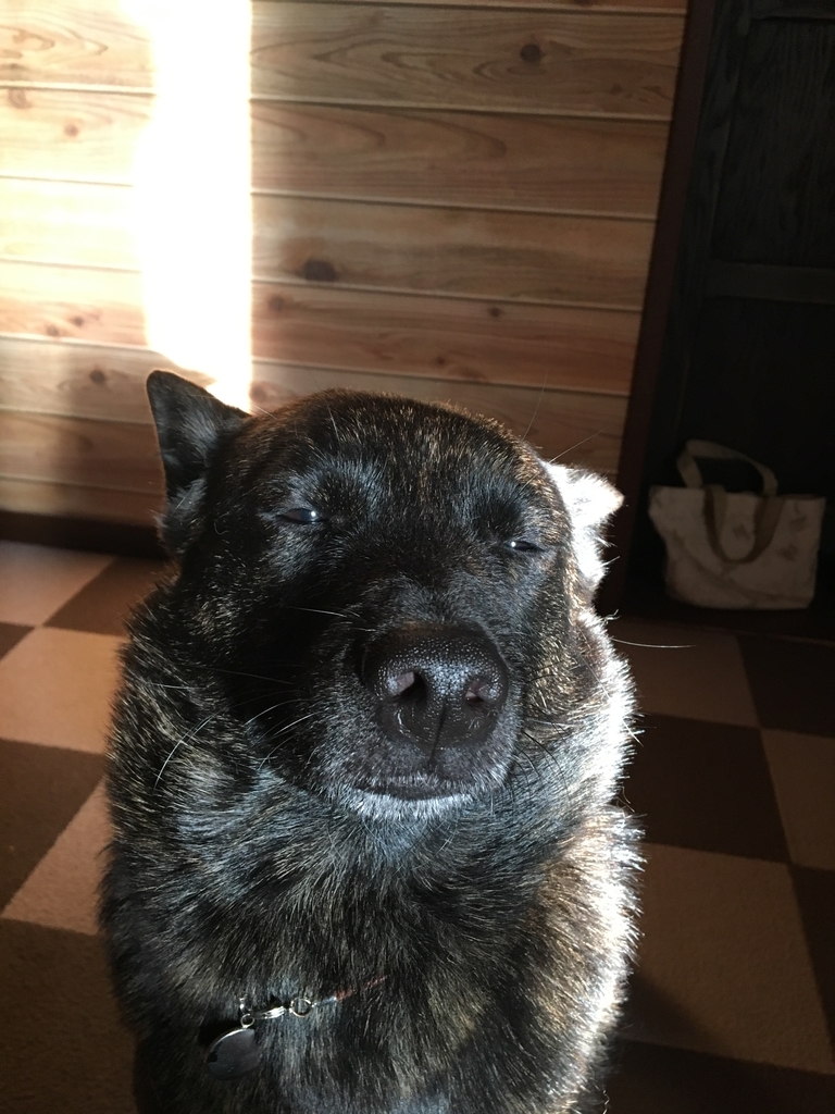 f:id:drunkard_kim:20190212105333j:plain