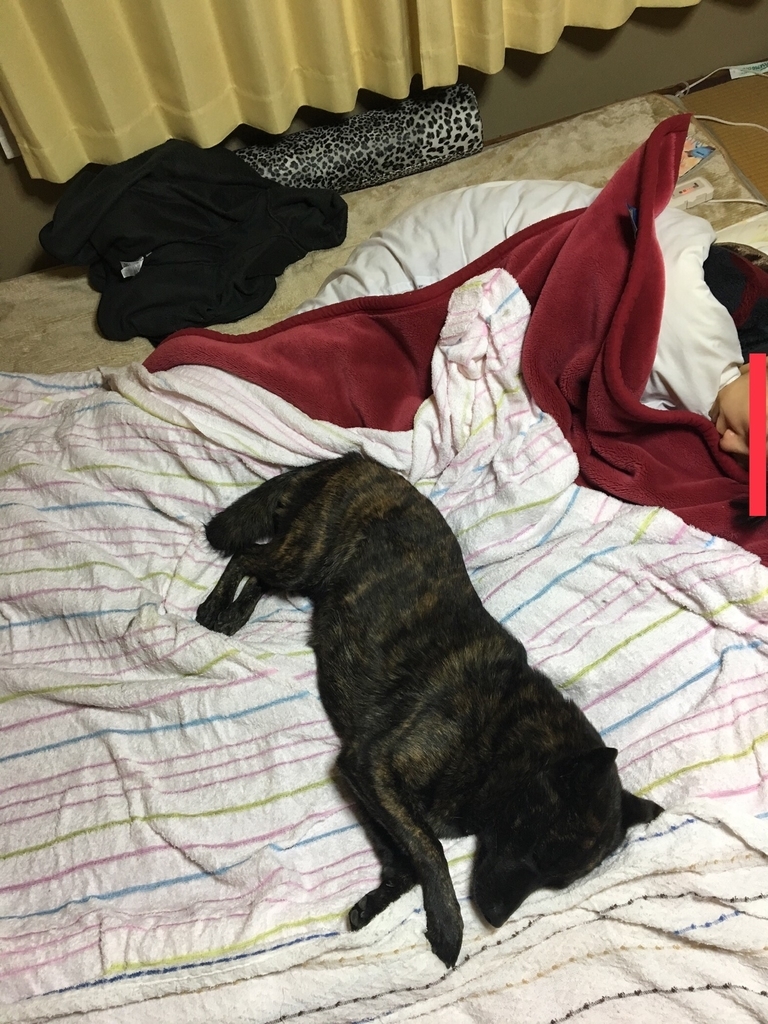 f:id:drunkard_kim:20190213080830j:plain