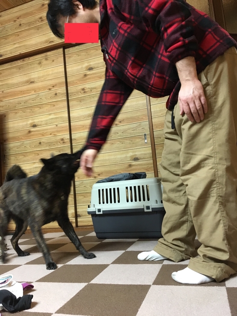 f:id:drunkard_kim:20190214085050j:plain f:id:drunkard_kim:20190214085050j:plain