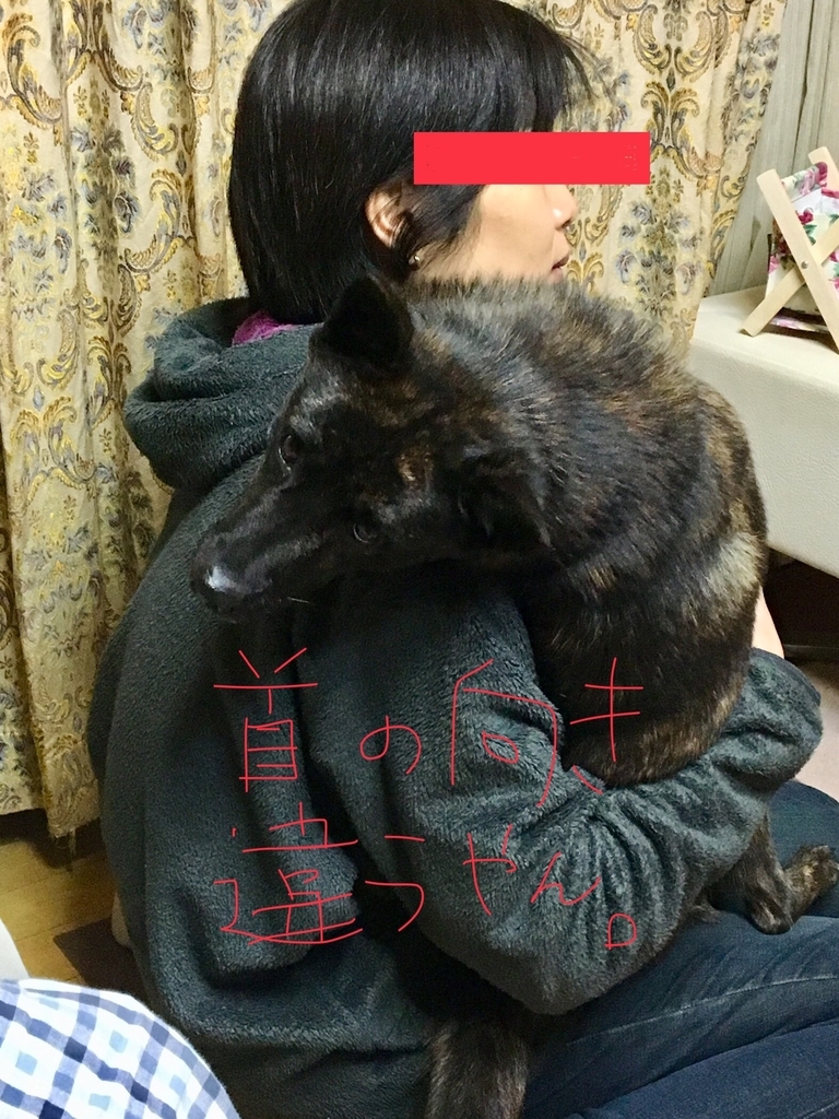 f:id:drunkard_kim:20190222080127j:plain