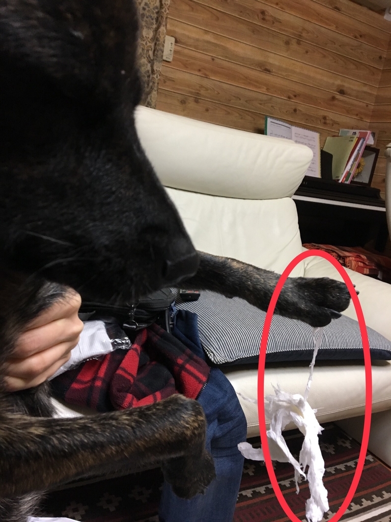 f:id:drunkard_kim:20190225075455j:plain