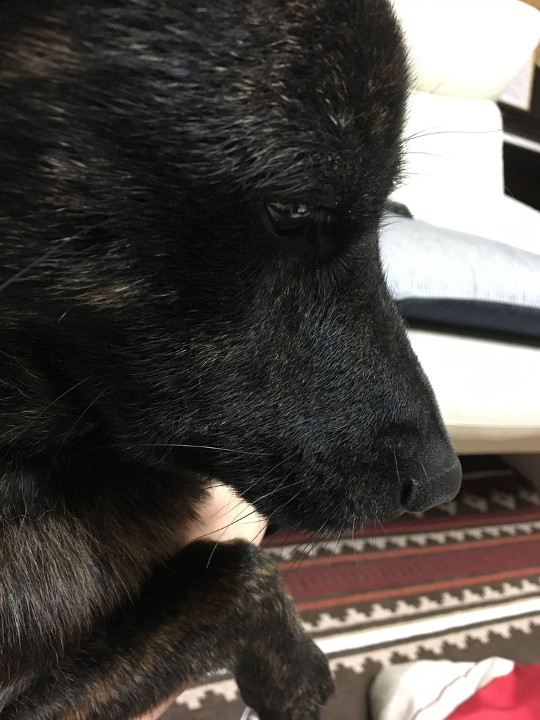 f:id:drunkard_kim:20190225075713j:plain