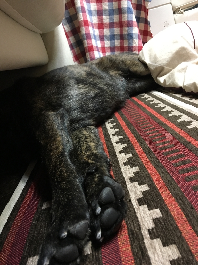 f:id:drunkard_kim:20190302084458j:plain