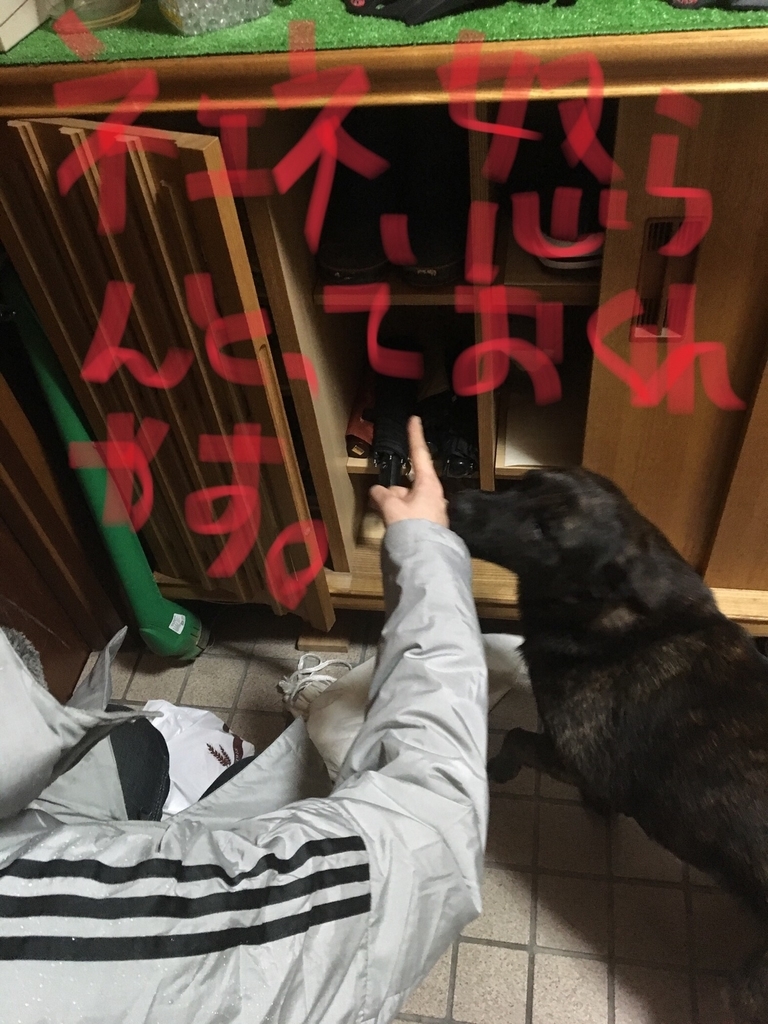 f:id:drunkard_kim:20190304075648j:plain