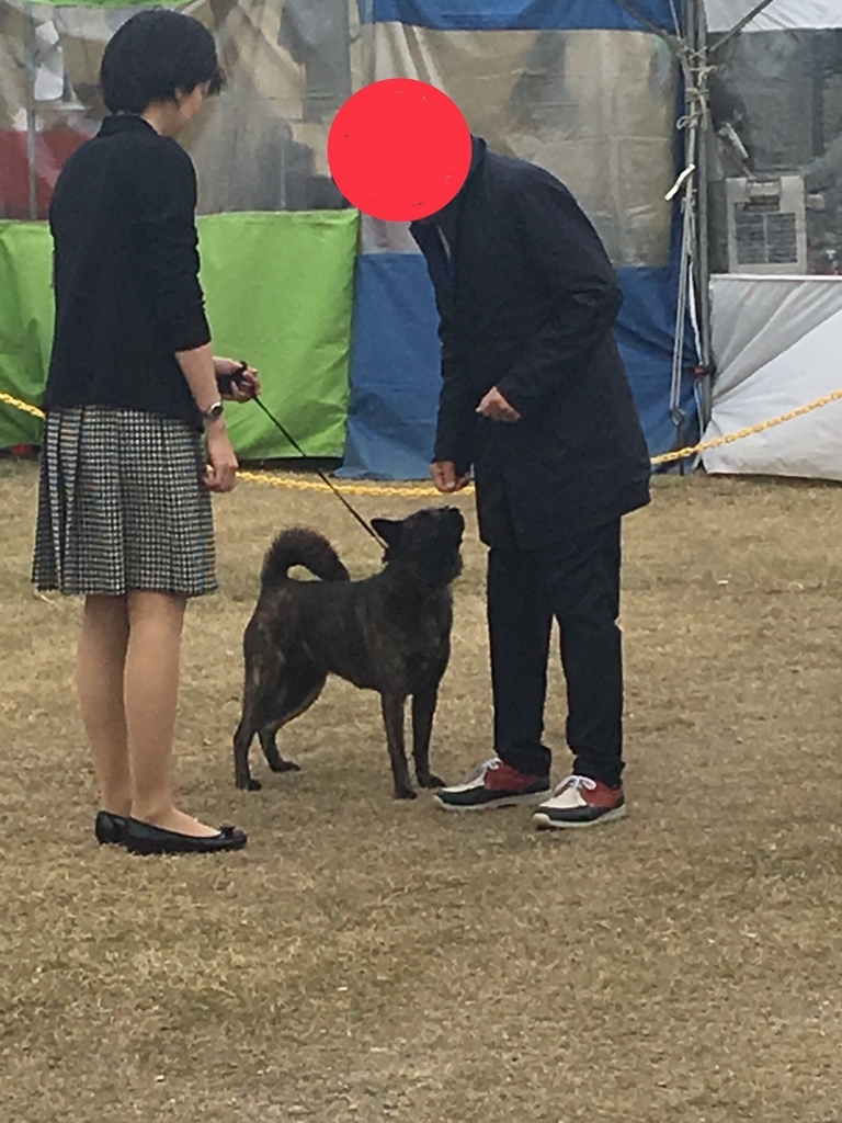 f:id:drunkard_kim:20190310093615j:plain