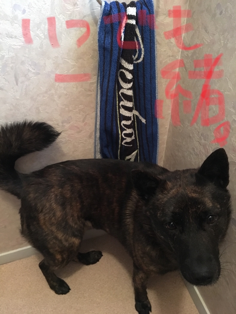 f:id:drunkard_kim:20190312104304j:plain