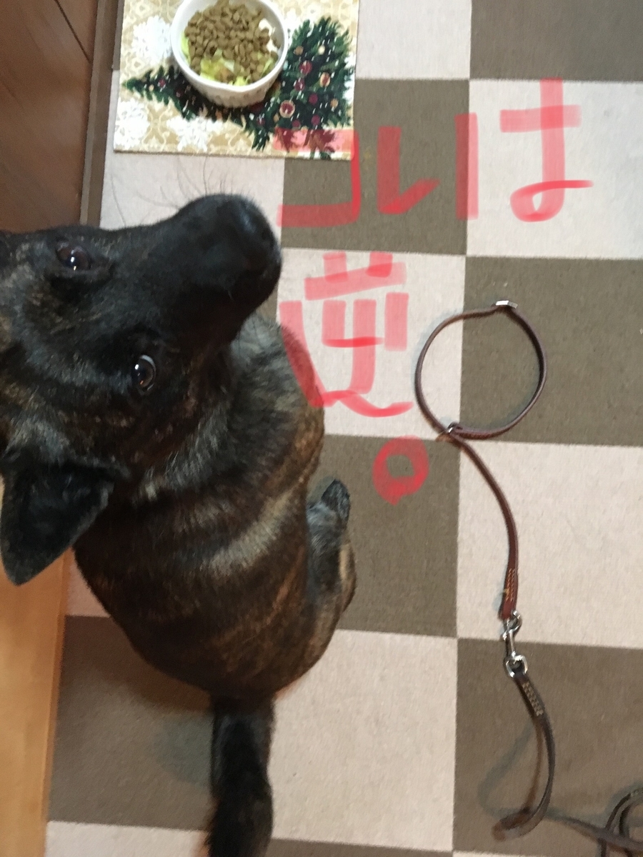 f:id:drunkard_kim:20190315080506j:plain