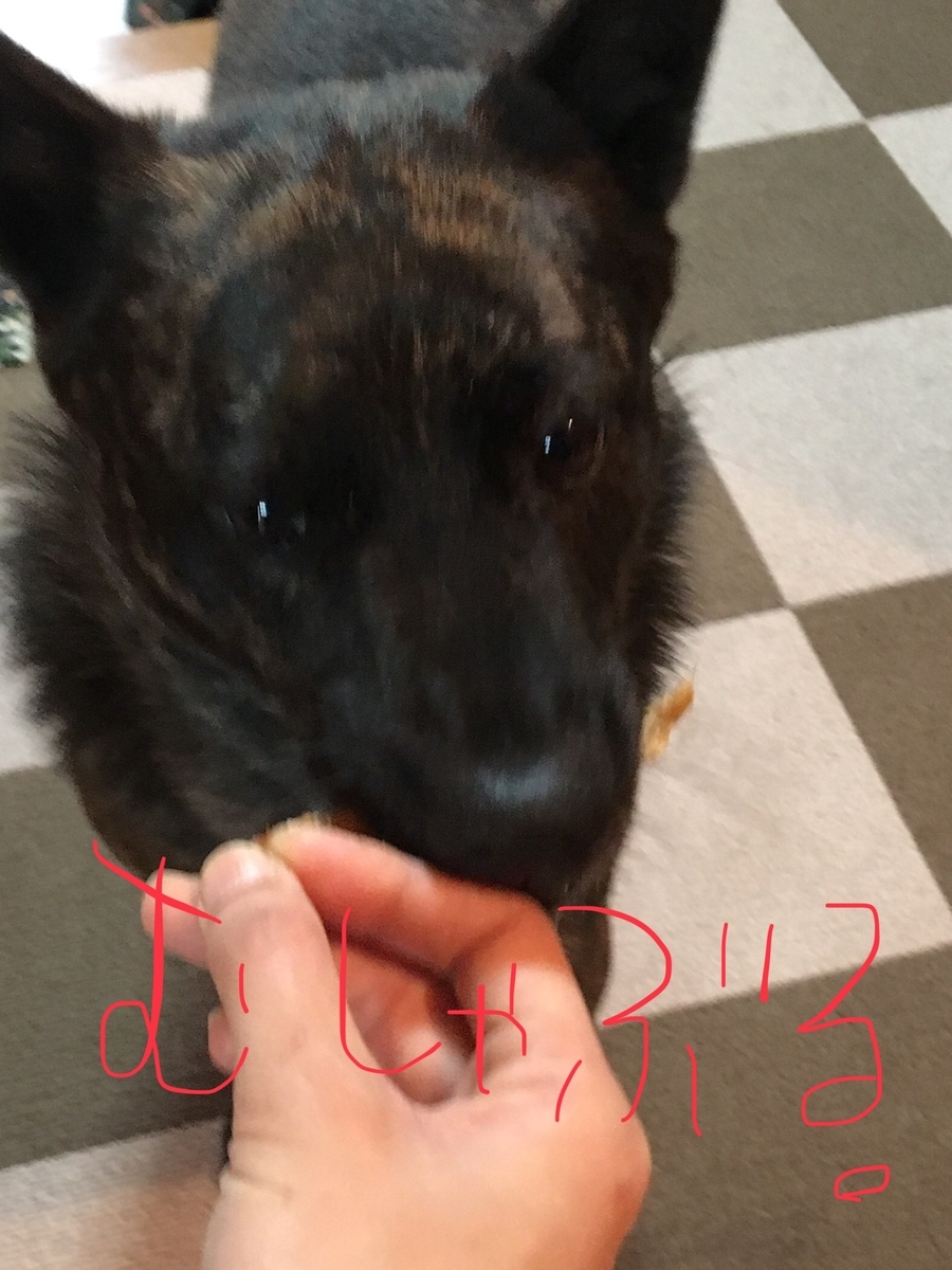 f:id:drunkard_kim:20190316083958j:plain