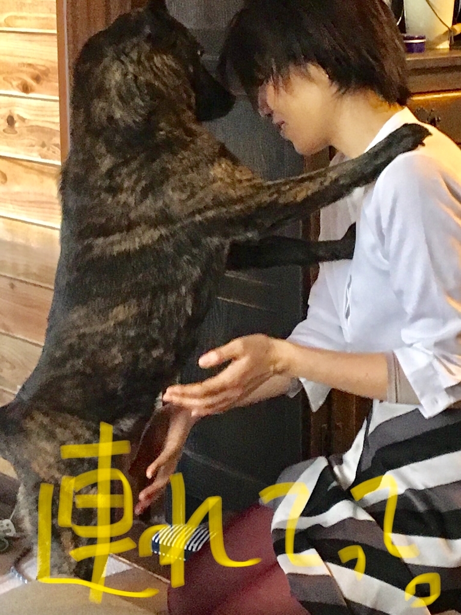 f:id:drunkard_kim:20190320204523j:plain