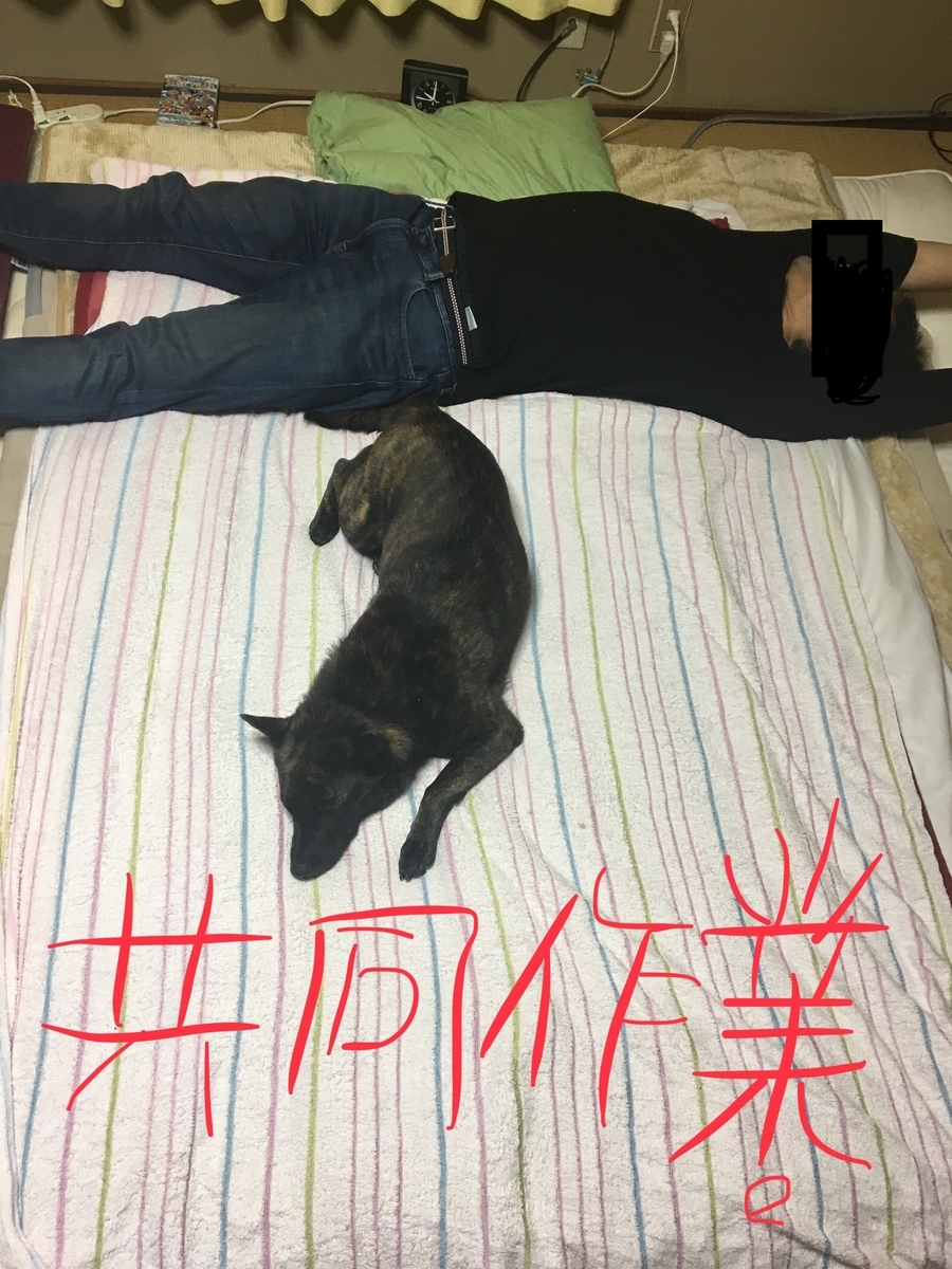 f:id:drunkard_kim:20190322080923j:plain