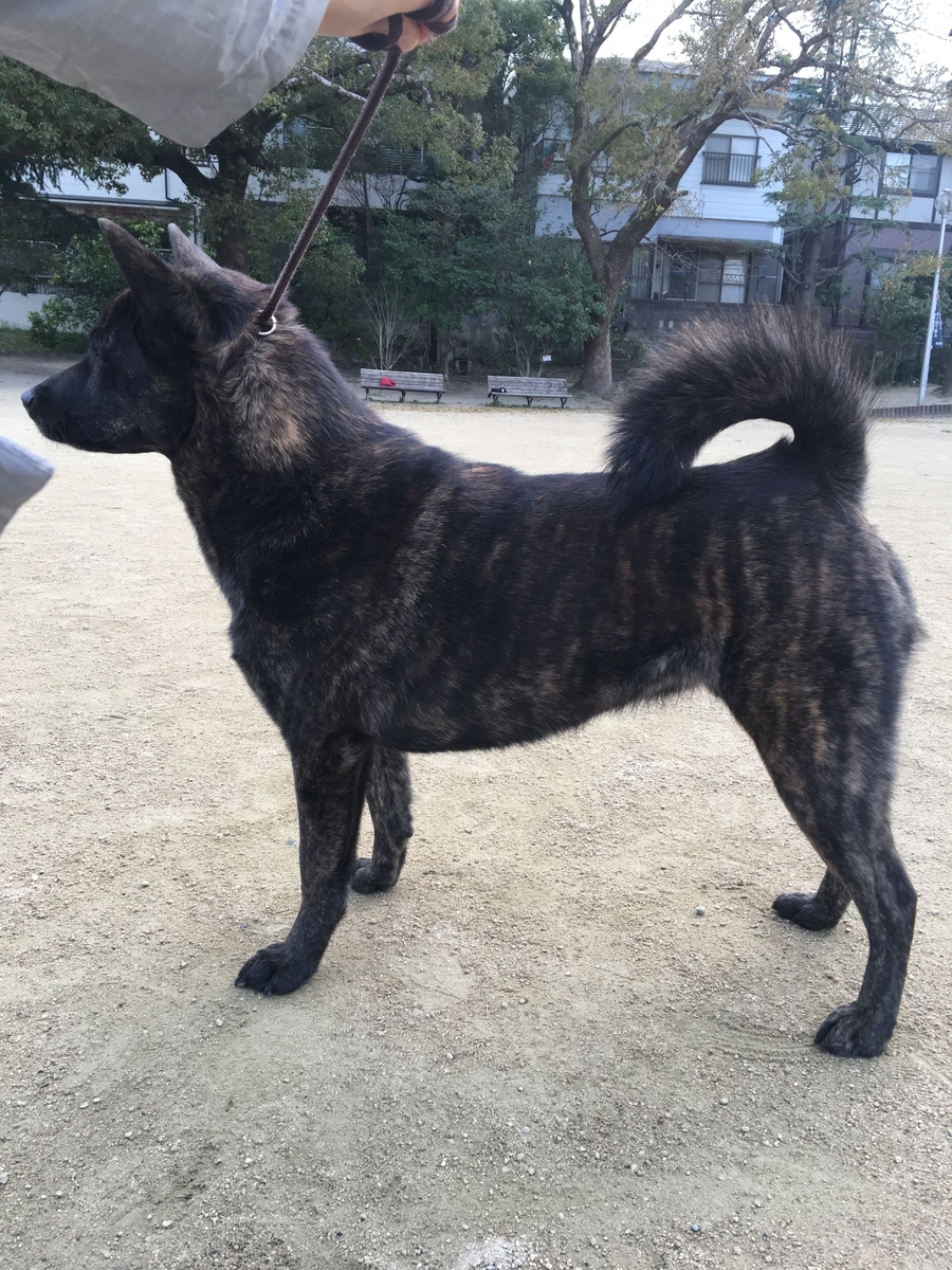 f:id:drunkard_kim:20190323082440j:plain
