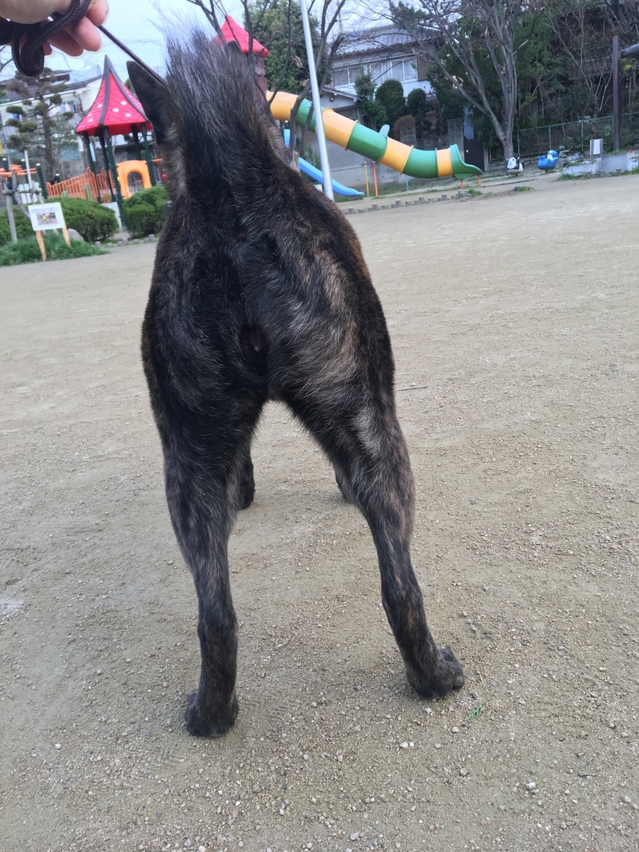 f:id:drunkard_kim:20190323082611j:plain