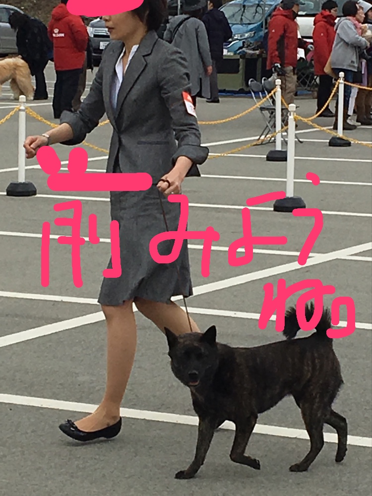 f:id:drunkard_kim:20190324113841j:plain