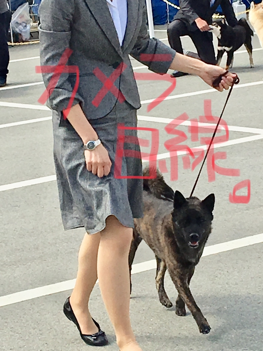 f:id:drunkard_kim:20190324164020j:plain