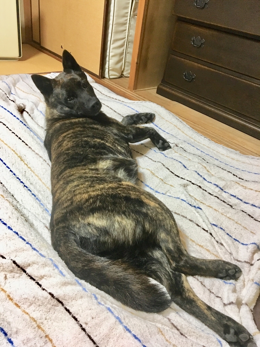 f:id:drunkard_kim:20190330081123j:plain