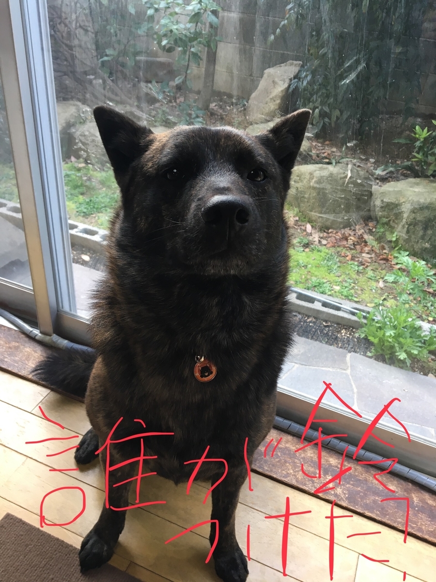 f:id:drunkard_kim:20190401080847j:plain