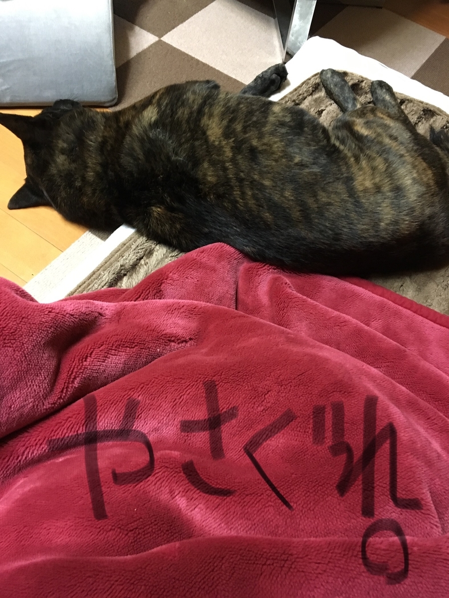 f:id:drunkard_kim:20190410081001j:plain