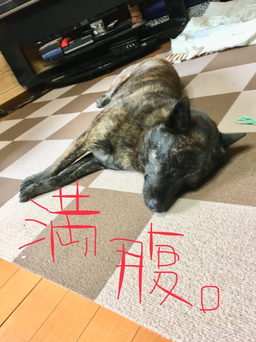 f:id:drunkard_kim:20190414150311j:plain