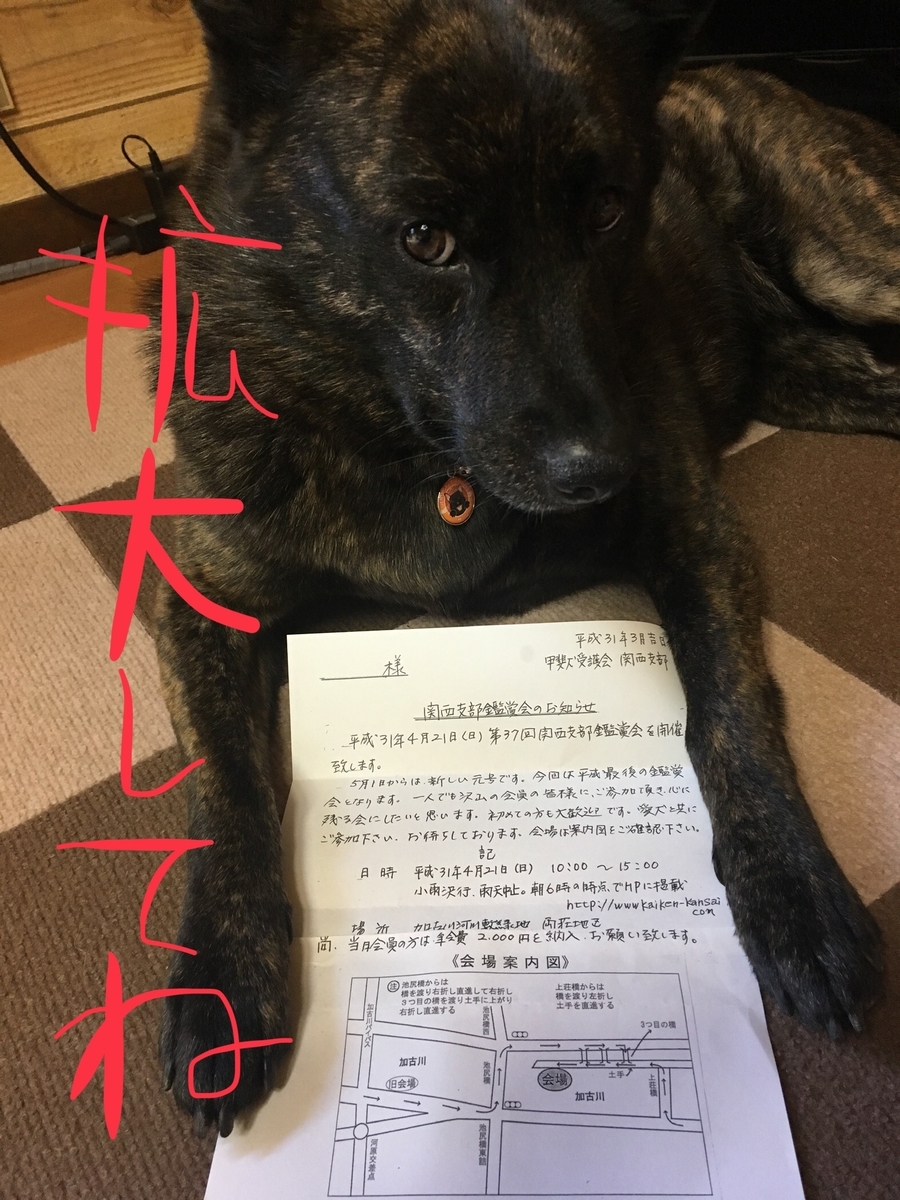 f:id:drunkard_kim:20190415161310j:plain